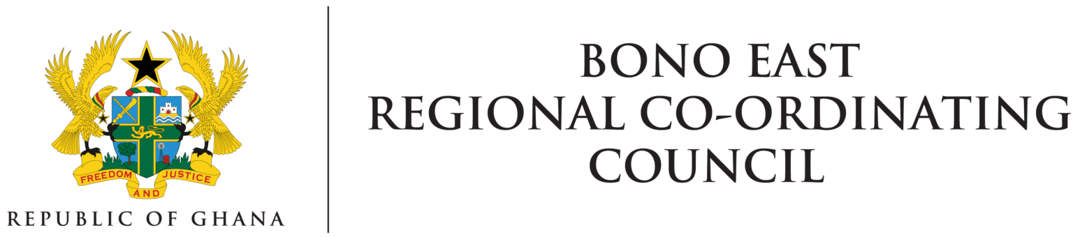 Institutional Partners Logo